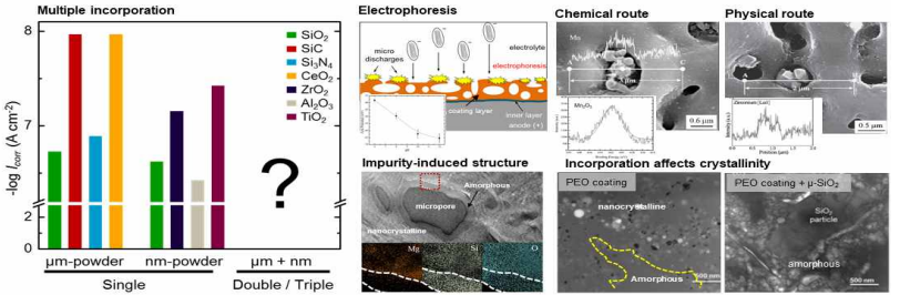 Illustration of the coating layer with incorporation secondary particles via electrophoresis