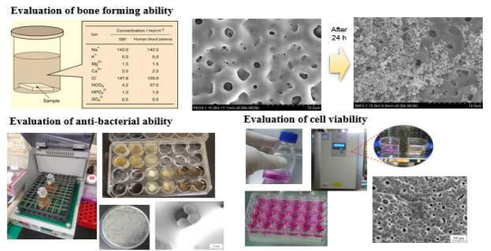 The bioactive assessments of the bio-ceramic composite coatings