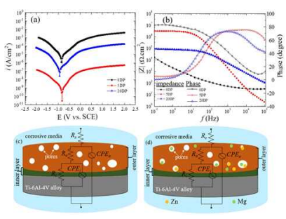 (a-b) Polarization and Bode plots (c and d) circuit models