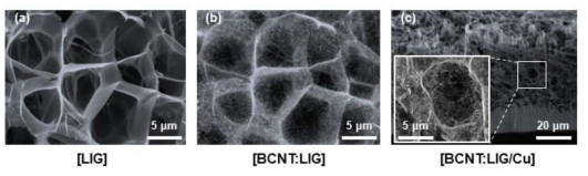 LIG기반의 복합소재 SEM 이미지 (a) LIG, (b) BCNT:LIG, (c) BCNT:LIG의 단면 이미지