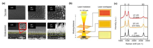 (a) 표면 형상이 조절된 LIG의 표면 및 단면 SEM 이미지, (b) 레이저 스팟중첩 모식도, (c) 라만 스펙트럼