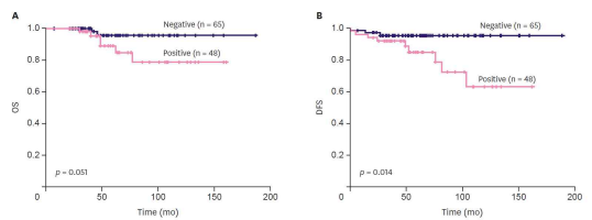 Kaplan-Meier survival curves according to CD9 expression in patients with invasive lobular carcinoma. (A) OS. (B) DFS.OS = overall survival; DFS = disease-free survival