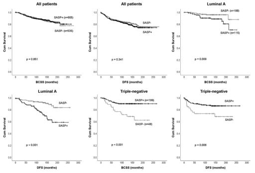 Survival analysis according to presence or absence of SASP. Breast cancer-specific survival (BCSS), and disease-free survival (DFS) for all 1,140 breast cancer patients (A-B) and patients with the luminal A subtype (C-D) or triple-negative breast cancer (E-F)