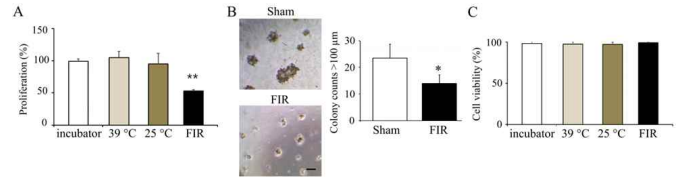 FIR irradiation inhibits cell proliferation and colony formation in MDA-MB-231 breast cancer cells