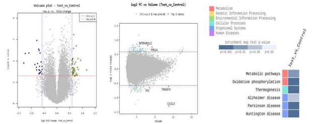 Potential candidates for miR-616 based on RNA sequencing array