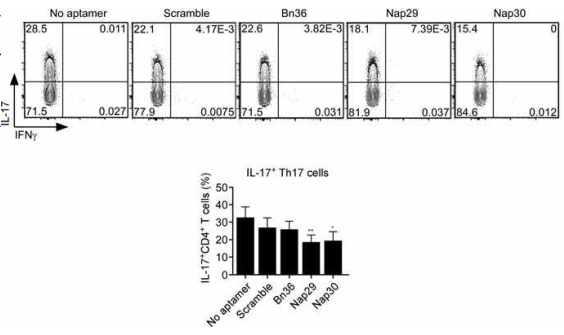 The effects of aptamers on the differentiation of Th17 cells