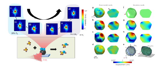 백금 촉매 나노 입자의 Bragg CDI 분석. (좌) 촉매 기체에 따른 시간 분해 결맞은 X-선 이미징 실험의 개요 도 및 회절 패턴 (우) 실험 결과와 계산 결과의 비교. (우. a-d) 실험을 통해 측 정된 시료의 스트레인 분포. (우. f-e) 실험에서 관측된 결과의 물리적 해석을 위해 이론계산을 병행해서 수행. 관측결 과와 유사한 결과를 얻을 수 있었음. (자 료 출처: 김현정, Nature Comm. 2018)