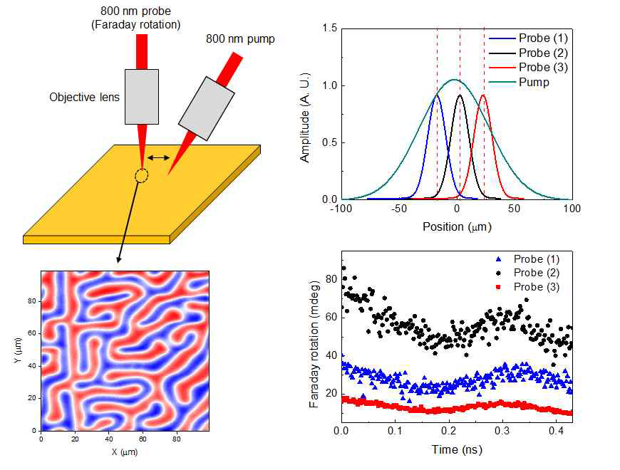 off-centered 자기 광학 펌프-프로브 셋업 도식도 및 실험 결과. 펌프 빔의 위치에 대 해 프로브 빔의 상대적 위치가 바뀜에 따라 Faraday rotation angle이 달라짐을 확인할 수 있음