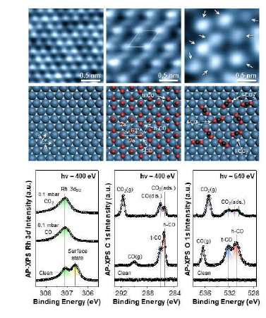 상압 주사터널링 현 미경(AP-STM)으로 관찰한 로 듐 촉매 표면의 균일한 원자배 열과 일산화탄소와 이산화탄소 가스 환경에서 각각 관찰된 분 자 흡착 배열 모습. 방사광가 속기 시설의 상압 X-선 광전 자분광법(AP-XPS)으로 분석 된 각 가스 환경에서의 화학 결합 에너지 변화