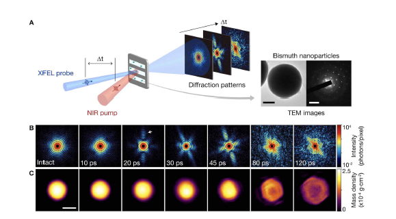 비스무스 나노 입자의 시분해 단일펄스 이미징 실험 (A) 과 이를 통해 얻어진 결맞는 회절 패턴(B)으로부터 시료의 이미지 (C)를 획득. 초고속 비평형의 상변화 과정에서 시료 표면에 faceting이 형성되는 것을 관측 (Jung, et al. Science Advances 2021)