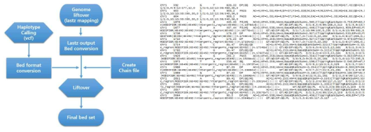 liftOver와 Picard의 LiftoverVcf 모듈을 이용한 이종 유전체간 좌표변환의 개요