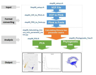주성분분석 및 근연관계 정보분석 (Kimura distance)의 개요
