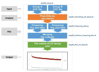 LD decay의 계산 및 LD-decay plot의 개요