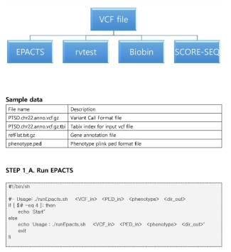 RVAS (Rare Variant Association Study) 정보분석 파이프라인 개요