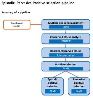 종간 Positive Selection을 계산하는 파이프라인