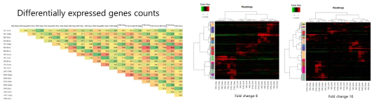 돼지 estrous cycle 정보분석에 의한 차등발현 유전자의 수와 heatmap