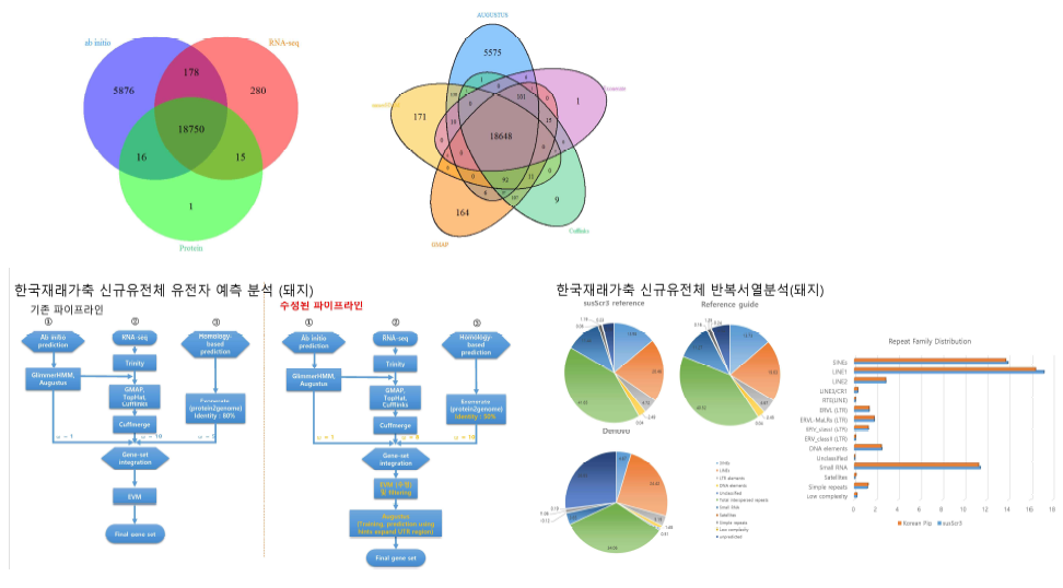 재래돼지 유전자, 반복서열 예측 및 상호 비교