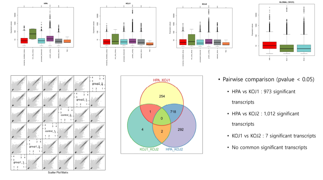 부갑상선암 환자의 전이암세포 2개에서 RNA-Seq 데이터를 활용하여 차등발현 유전자를 발굴