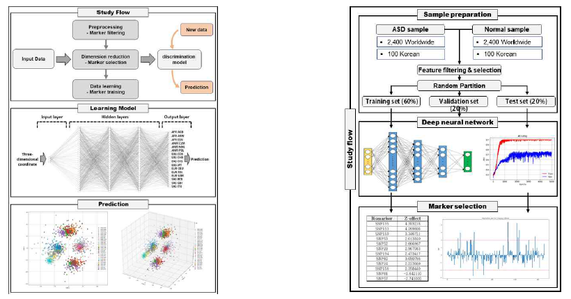 인종판별 및 인종지정을 위한 딥러닝 알고리즘, 가시화 알고리즘 (좌) 전장유전체를 활용하여 자폐예측을 위한 연구개요. 인공신경망을 통하여 정상-자폐 환자를 구분 (우)