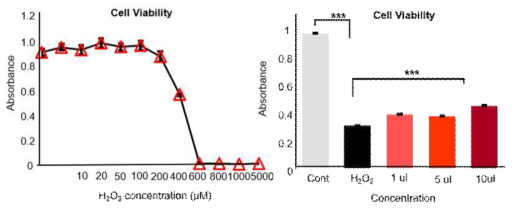 H2O2의 농도 결정 및 본 연구팀에서 분리한 엑소좀의 농도에 따른 산화스트레스에 의한 불멸간세포 사멸 억제