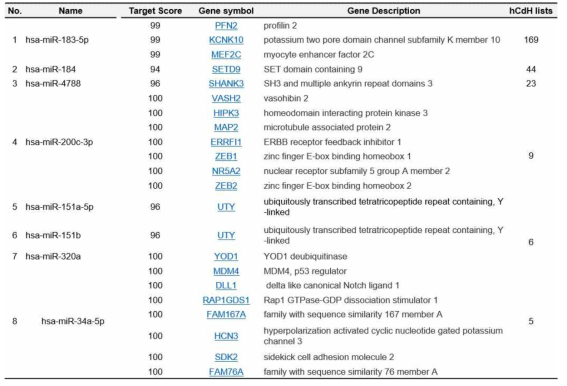 hCdH에서 증가된 miRNA 리스트