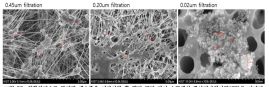 화학침전으로 분리된 엑소좀을 여과시킨 후 필터 표면 잔여 소포체의 주사전자현미경(SEM) 이미지