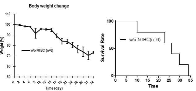 NTBC 식이를 중단한 마우스의 몸무게와 시간에 따른 생존율을 나타내는 그래프