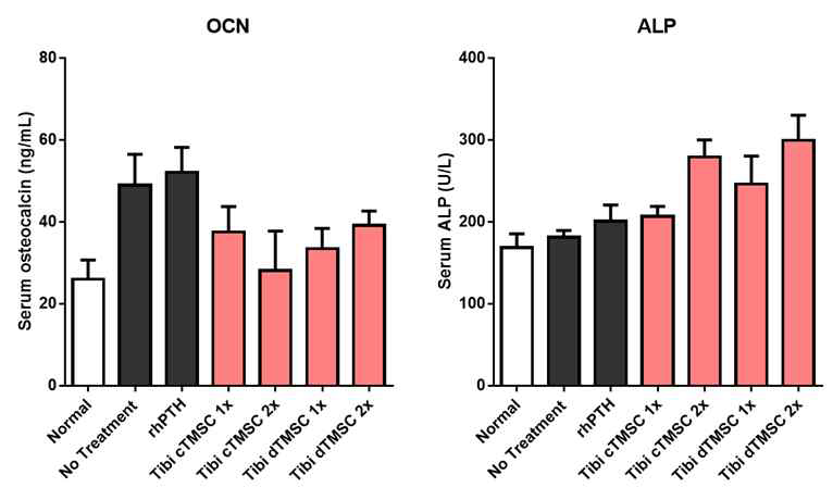 분화 그리고 미분화된 TMSC 주사를 경골 근위부로 직접 투여 받은 쥐군들의 첫 투 여 12주 후 혈청 OCN과 ALP농도. (n=10 for normal, no treatment, rhPTH groups; n=5 for TMSC groups.)