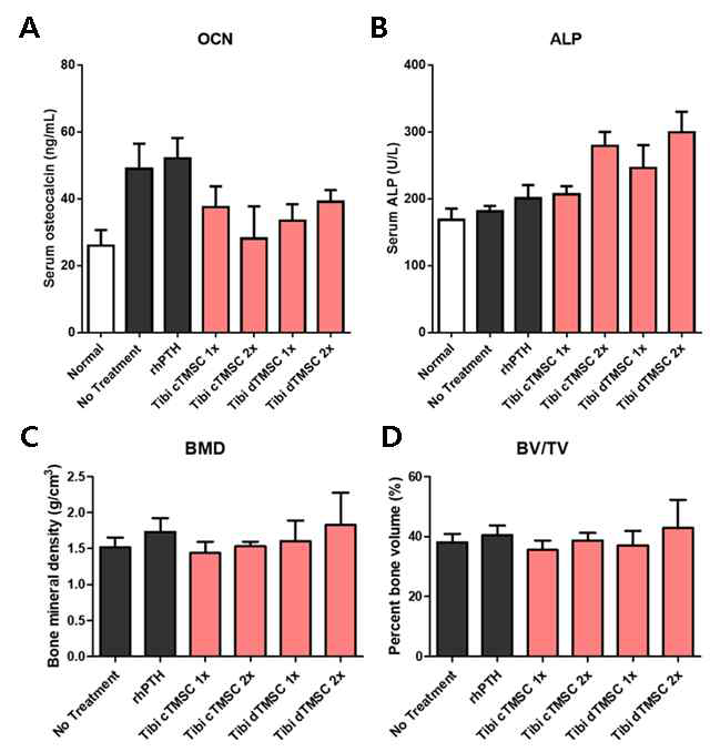 분화 그리고 미분화된 TMSC 주사를 경골 근위부로 직접 투여 받은 쥐군들의 첫 투여 12주 후 혈청 OCN과 ALP농도. (n=10 for normal, no treatment, rhPTH groups; n=5 for TMSC groups.)