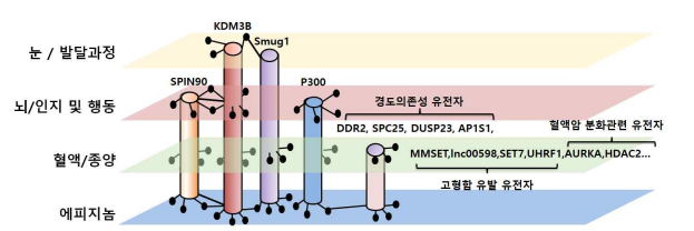 1단계 BRL 3D 다차원 에피지노믹 네트워크 연구결과 모식도