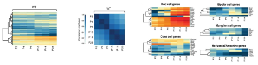 망막의 간상세포를 이용한 RNA-seq 공공데이터 활용