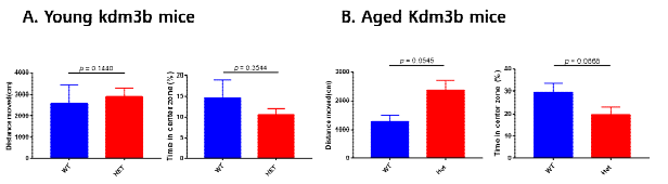 Kdm3b KO 모델에서 노화에 따른 기본 행동 결과 비교