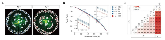 노화된 Kdm3b KO 생쥐 망막에서 Kdm3b-centered epigenomic network의 강인성(robustness) 측정