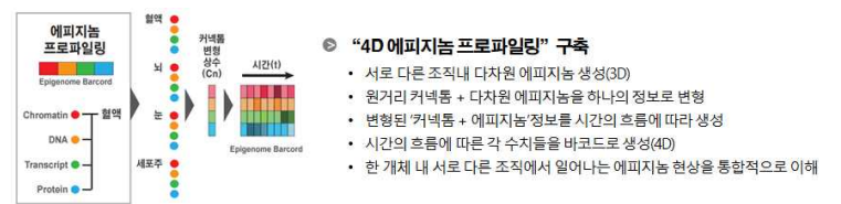 4D 에피지놈 네트워크를 이용한 에피지놈 바코드 구축