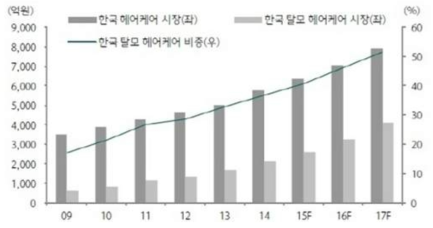 탈모 관련 국내 시장의 성장