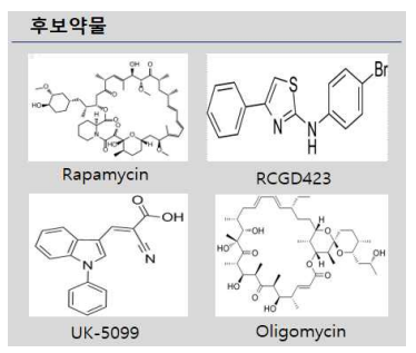 탈모증 치료 후보 약물군