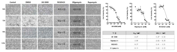 MTT assay를 통한 세포독성검증. (좌) 시간 및 약물농도에 따른 mHFSC의 배양이미지, (우) MTT assay로 측정된 약물 농도에 따른 세포 생장 곡선 그래프 및 4종 후보 약물군의 IC50 및 95% CI