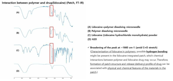 고분자와 탑재된 약물 (lidocaine) 사이의 상호작용 (Patch, FT-IR 분석)