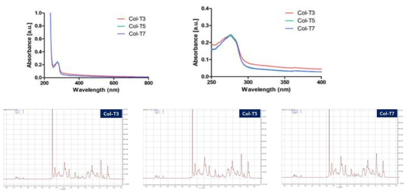 콜라젠에 타이라민 결합한 후의 UV-vis spectrum (좌측 상단)전체 wavelength 및 (우측 상단)타이라민의 흡광 peak 파장대. (하단) 타이라민을 도입한 콜라겐의 NMR 그래프