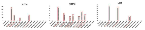 약물 농도 및 종류에 따른 hair follicle specific gene의 Real-time PCR 분석