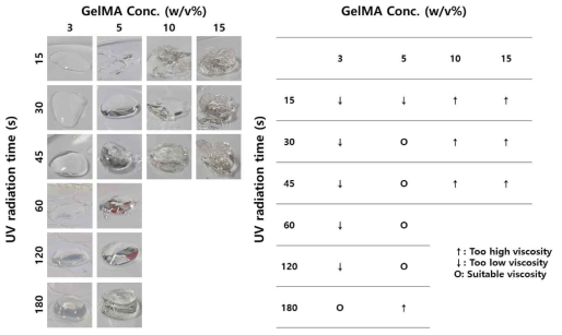 GelMA 농도에 따른 GelMA-HAMA 바이오잉크의 UV 조사시간별 가교 특성 조사