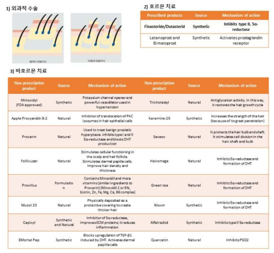 기존의 탈모 치료를 위한 방법
