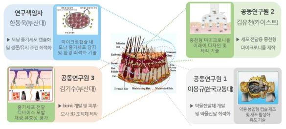 주제별 개별 연구를 통한 상호 연계 집단 연구 모식도