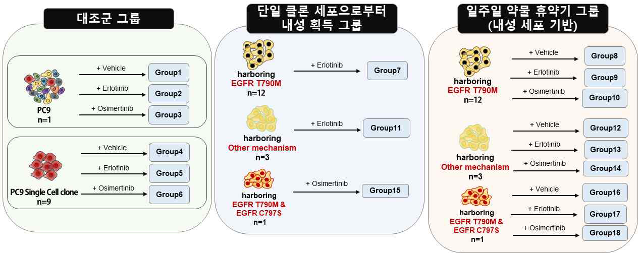 101개의 샘플 준비에 대한 그룹 모식도