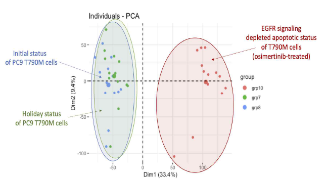 Erlotinib에 의해 내성이 획득된 세포주와 약물 휴약기 후, osimertinib처리 후의 주성분 분석