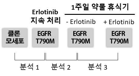 분석 모식도