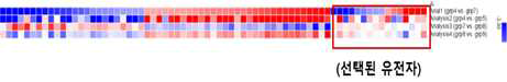 paired DEG분석을 통해 선별된 유전자의 heatmap