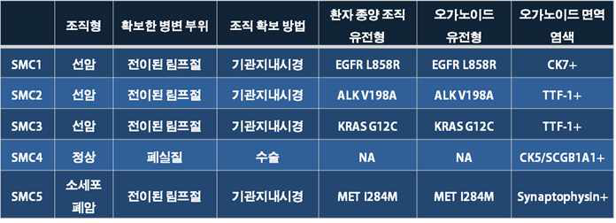 환자 유래 폐암 및 정상 오가노이드