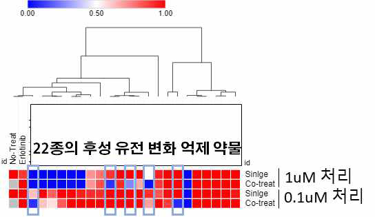 돌연변이 교정 모델 시스템 기반, 4종의 후성 유전 변화 약물 처리시 내성 재유도 억제됨