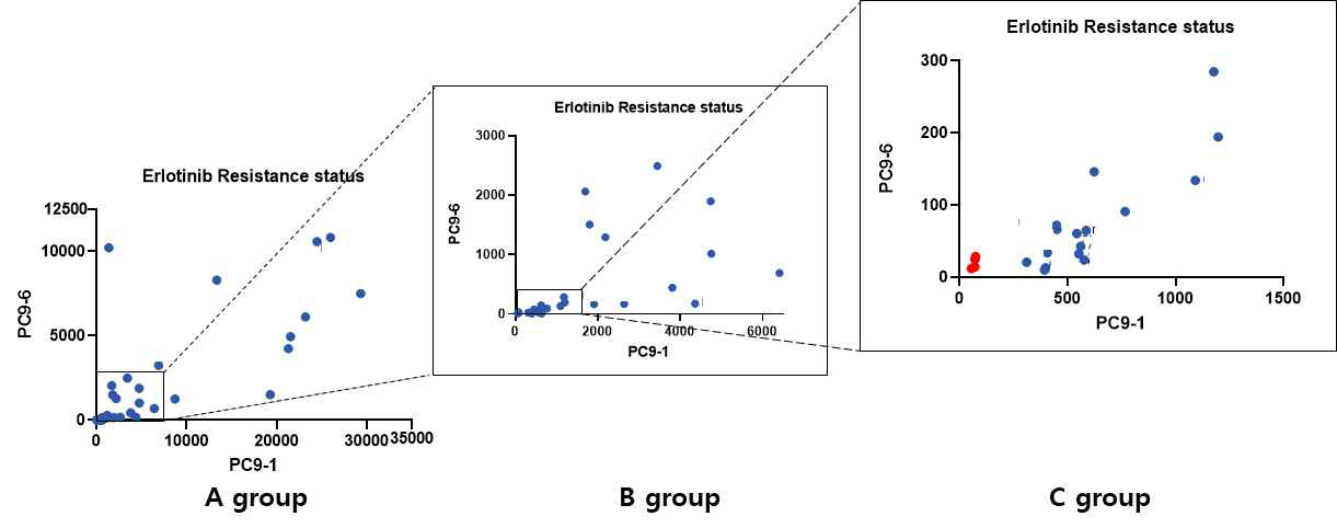 kinase 과발현 내성세포주의 EGFR 1세대 표적치료제에 의해 내성 획득 기간(3개의 그룹으로 나누어짐)